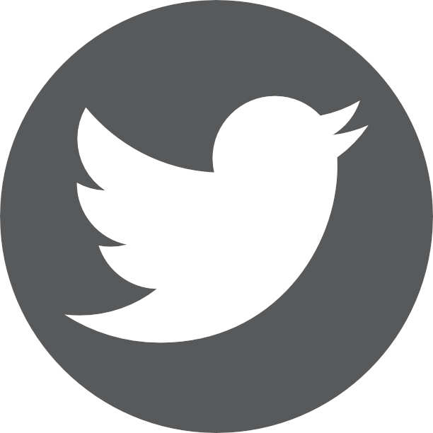 twitter logo gris